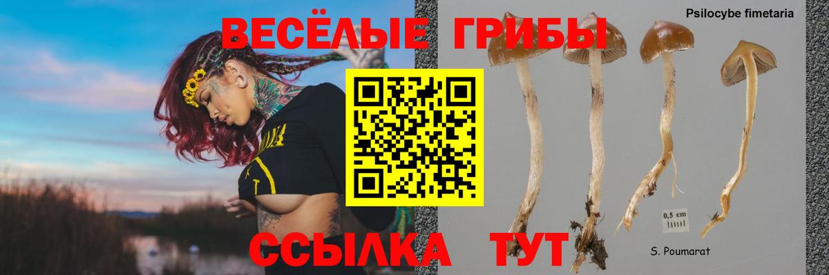 Галлюциногенные грибы MAGIC MUSHROOMS  Вход с VPN  Боровичи  Галлюциногенные грибы MAGIC MUSHROOMS 