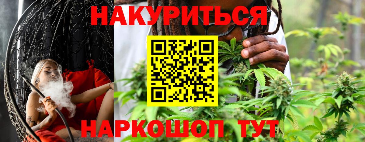 Каннабис сатива Боровичи